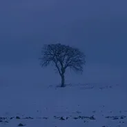 76561199020263370