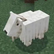 ofzea