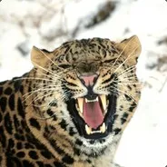 andrei_LaMante