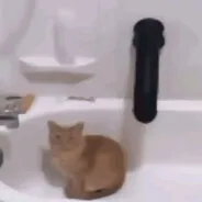 ванучка